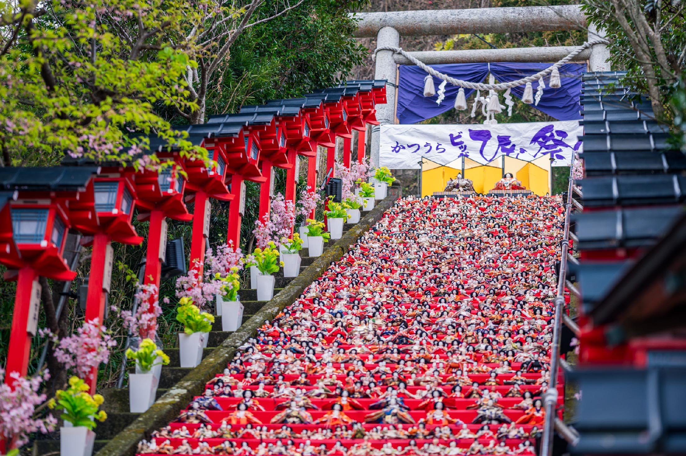 ⛩️ 먼 곳을 보는 곶 신사 (도미사키 신사) 이미지 6